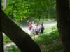 HWK 2009 037_small.jpg